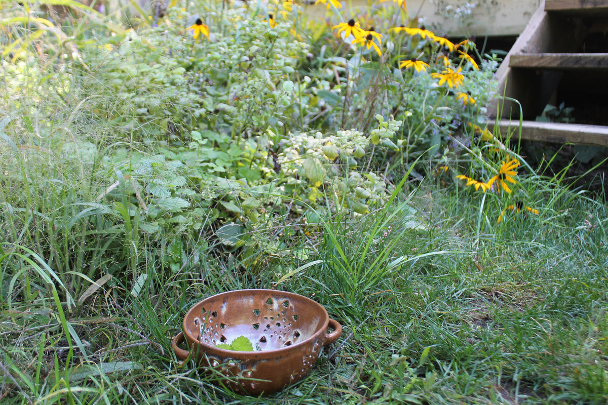 Sunshine Colander