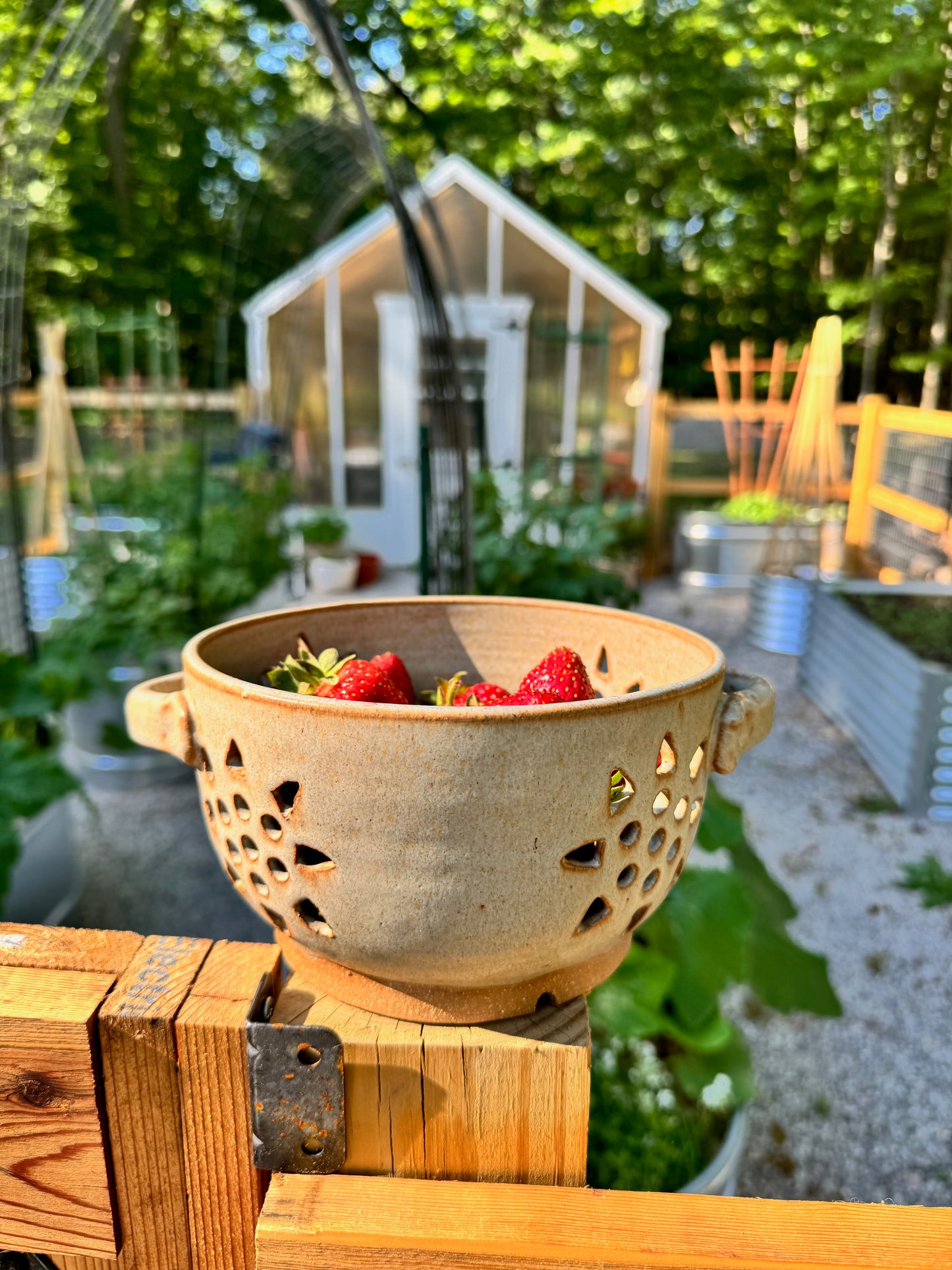 Sunshine Colander in Stone