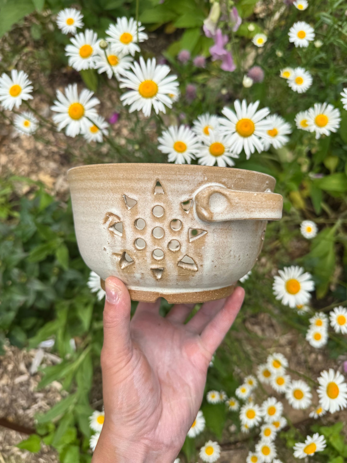Sunshine Colander in Ivory