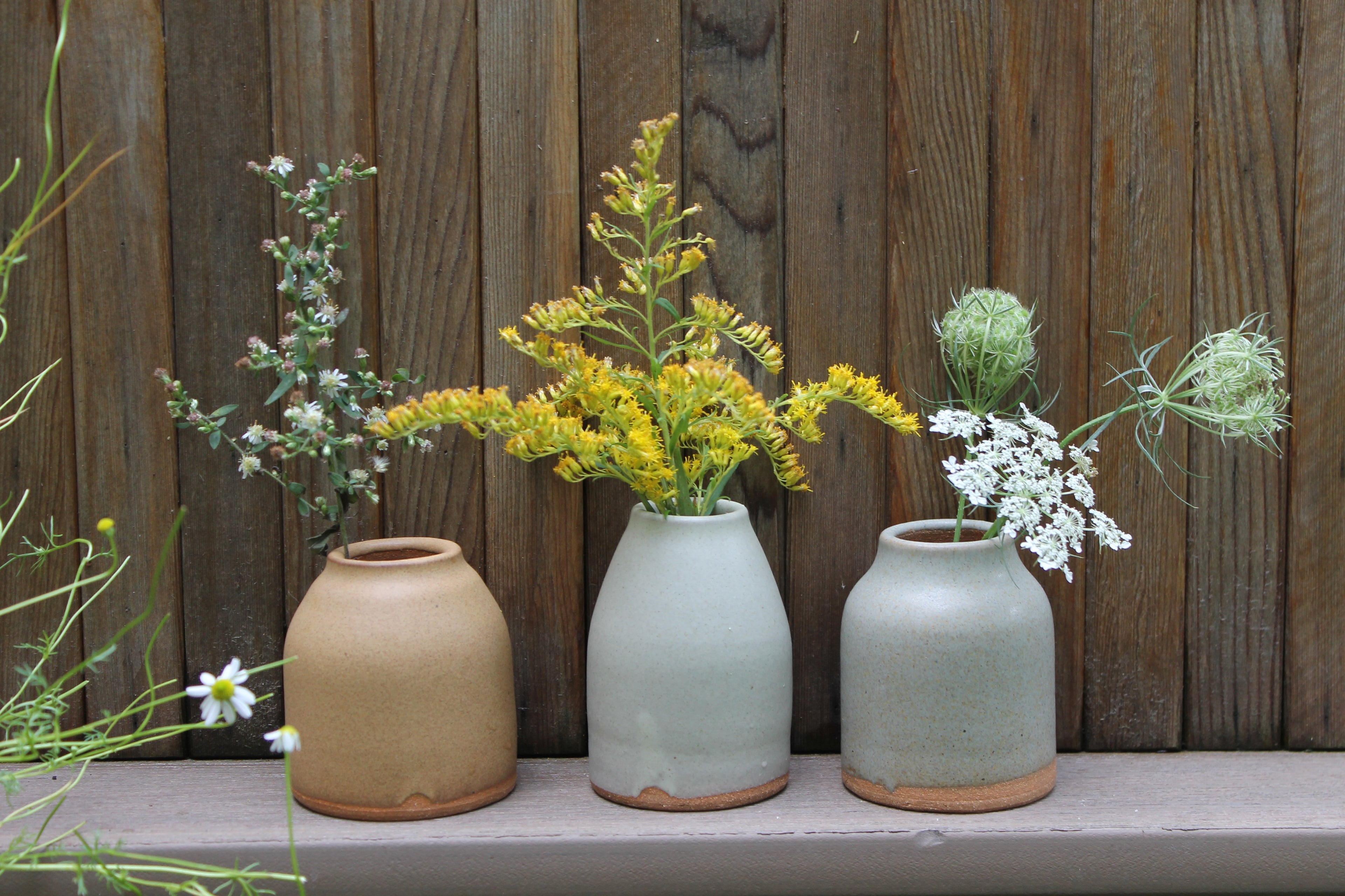 Three ceramic vases with plants against a wooden background